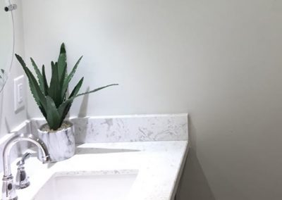 Counter, sink and aloe plant