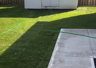 Backyard sod installation