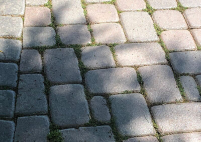 Overgrown interlock driveway