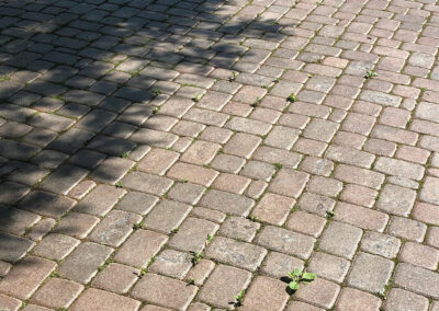 Overgrown interlock driveway