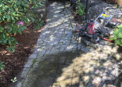 Panju driveway before sealing